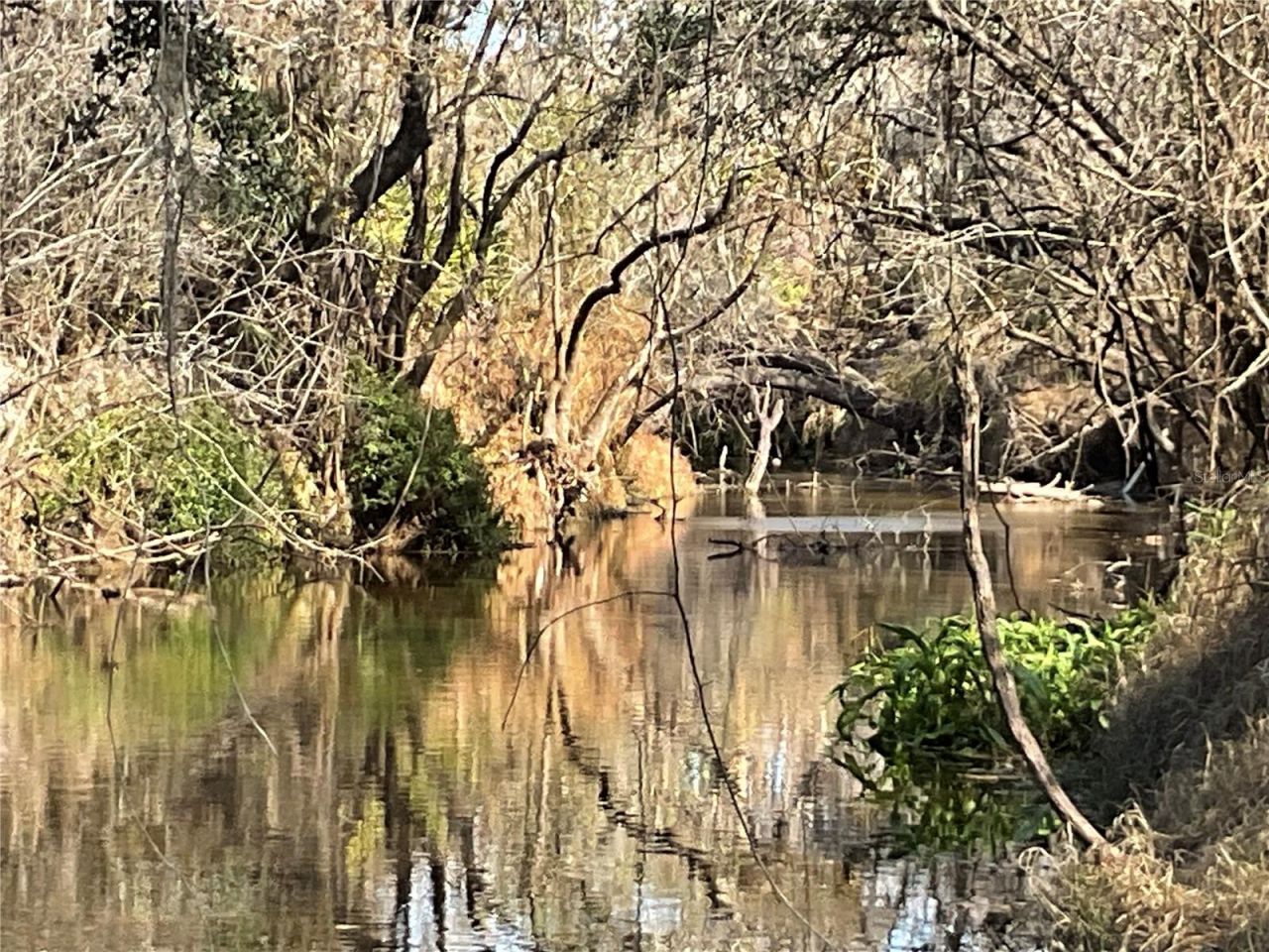 4051-3803 Dixiana Drive, Bowling Green, FL 33834 Photo