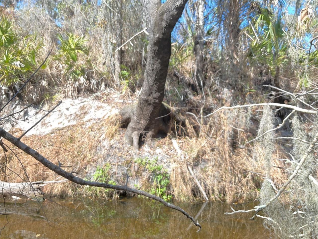 4051-3803 Dixiana Drive, Bowling Green, FL 33834 Photo