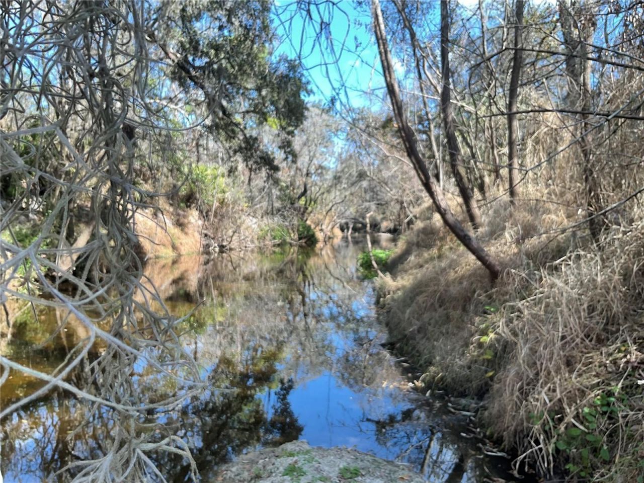 4051-3803 Dixiana Drive, Bowling Green, FL 33834 Photo