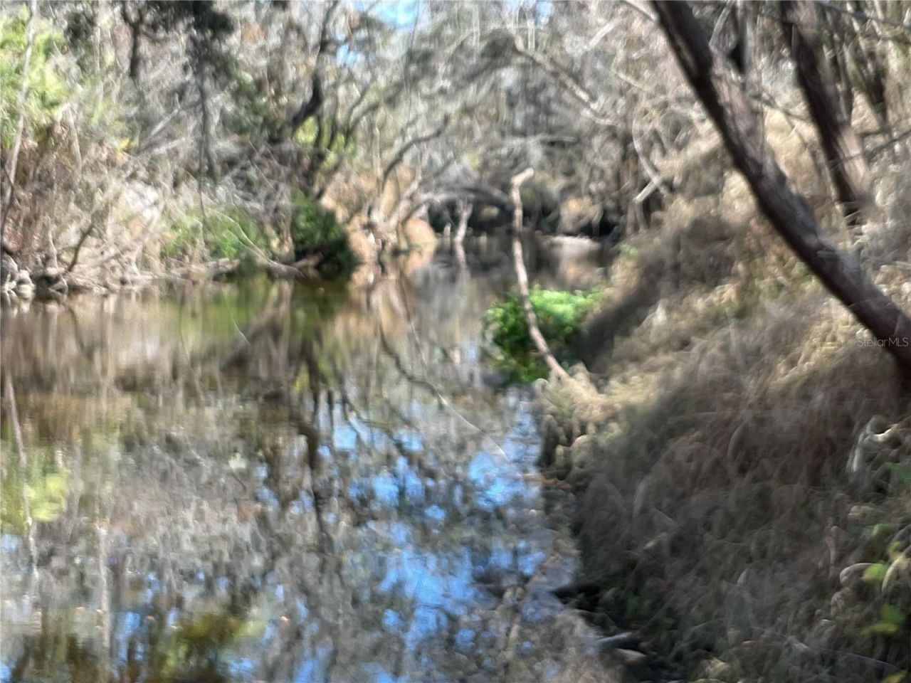 4051-3803 Dixiana Drive, Bowling Green, FL 33834 Photo