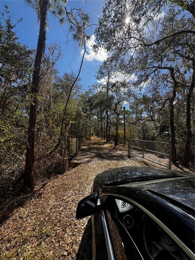 4051-3803 Dixiana Drive, Bowling Green, FL 33834 Photo