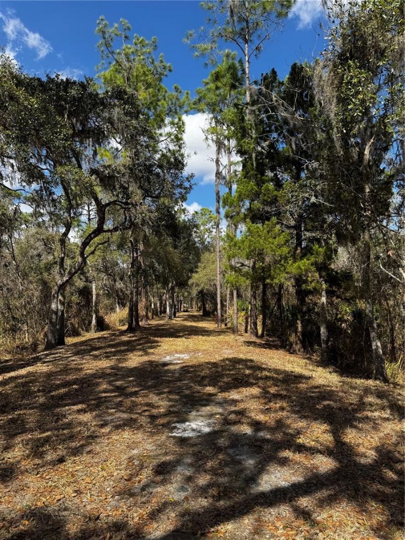 4051-3803 Dixiana Drive, Bowling Green, FL 33834 Photo