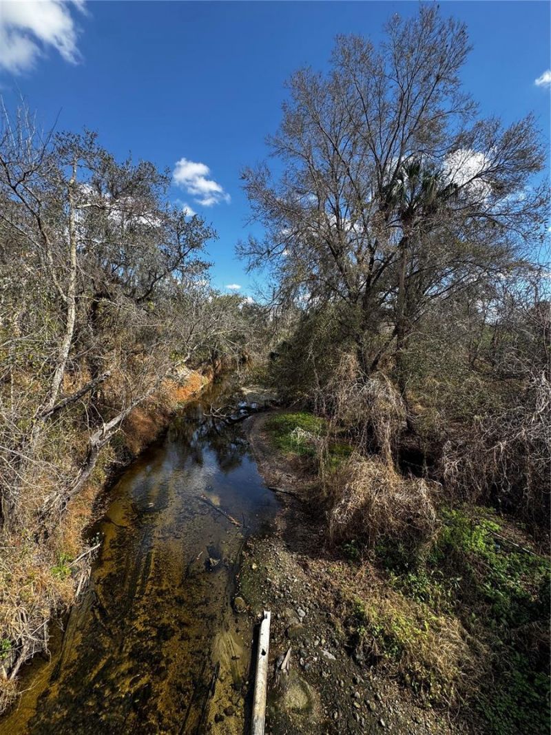 4051-3803 Dixiana Drive, Bowling Green, FL 33834 Photo