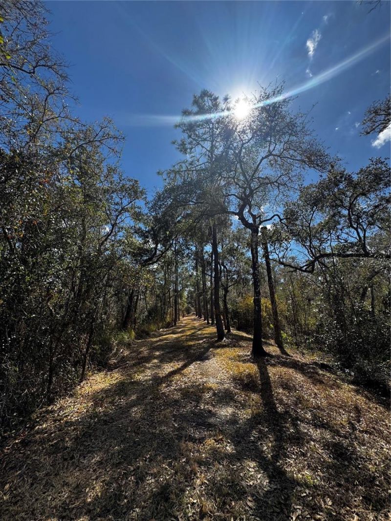 4051-3803 Dixiana Drive, Bowling Green, FL 33834 Photo