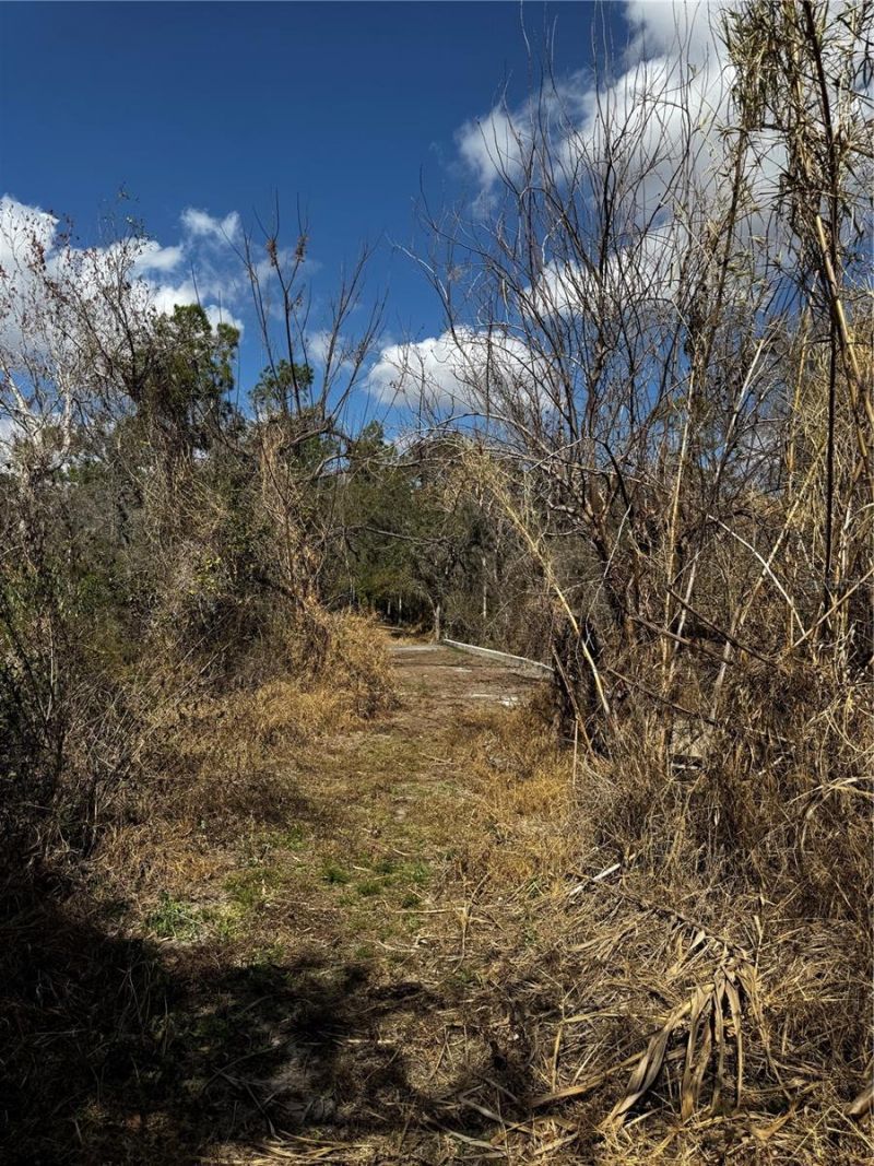 4051-3803 Dixiana Drive, Bowling Green, FL 33834 Photo