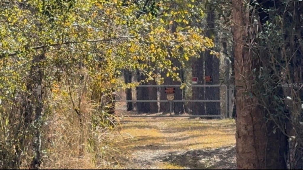 4051-3803 Dixiana Drive, Bowling Green, FL 33834 Photo