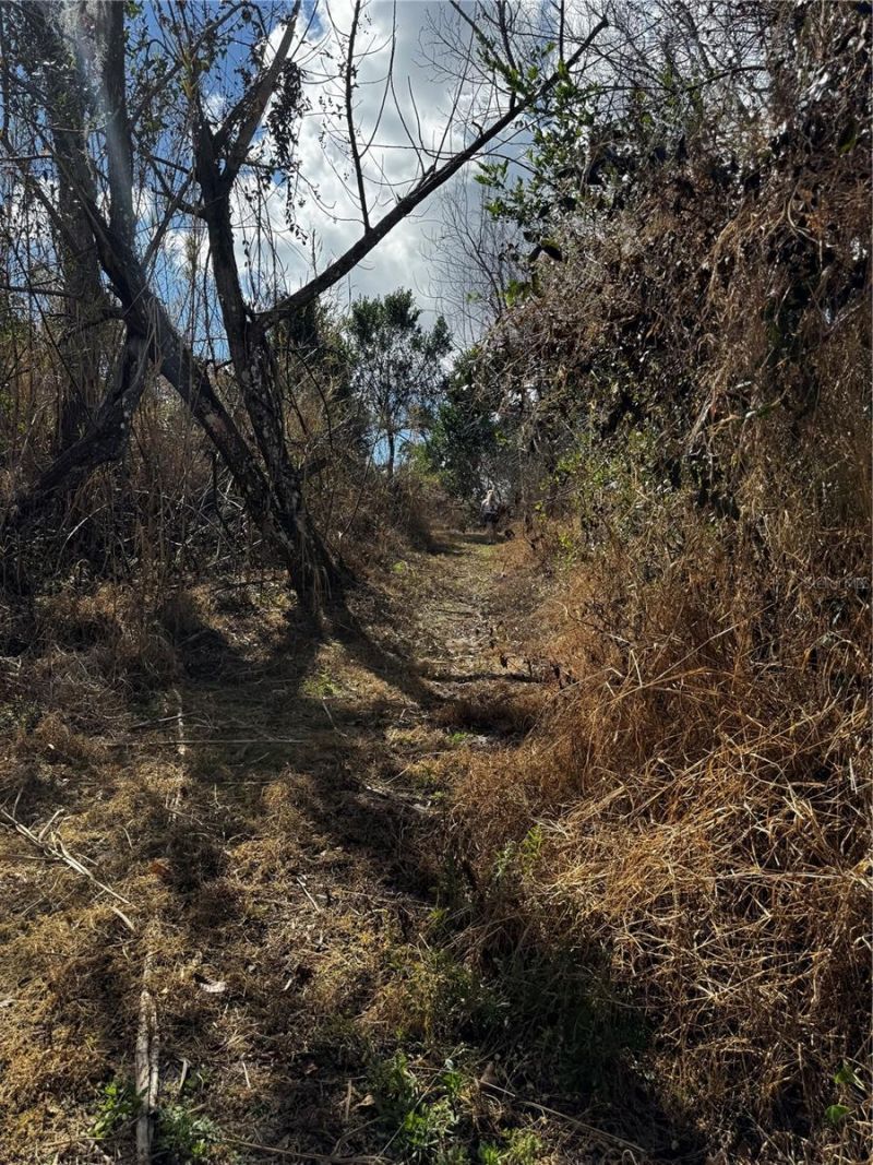 4051-3803 Dixiana Drive, Bowling Green, FL 33834 Photo