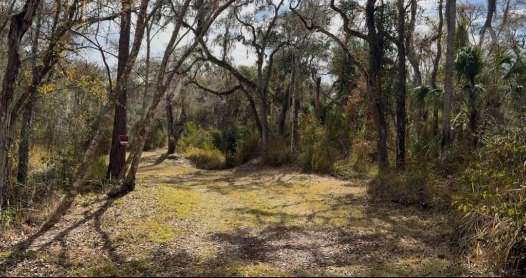 4051-3803 Dixiana Drive, Bowling Green, FL 33834 Photo