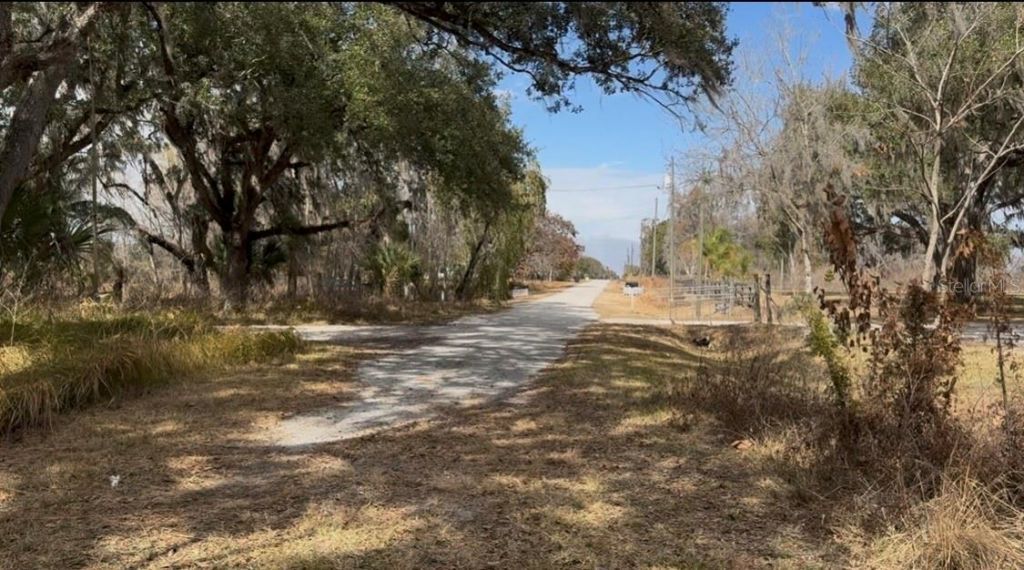 4051-3803 Dixiana Drive, Bowling Green, FL 33834 Photo