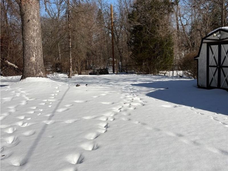 156 Halleck Street, Youngstown, OH 44505 Photo 28