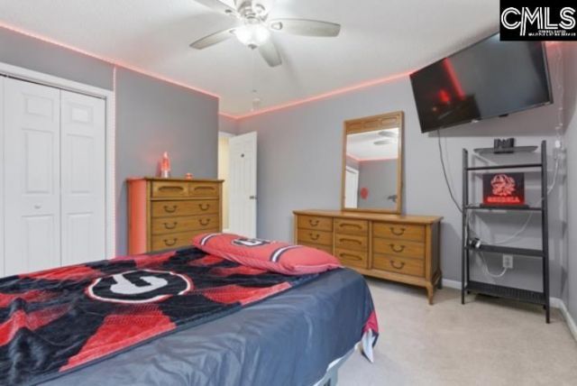 256 Crimson Oak Drive Photo 22