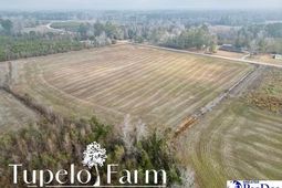 Tbd W Lynhurst Rd, Lot 8 photo 4