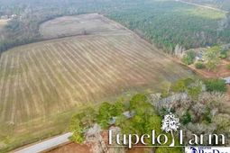 Tbd W Lynhurst Rd, Lot 8 photo 4