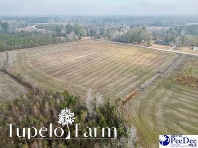 TBD W Lynhurst Rd, Lot 7, Pamplico, SC 29583