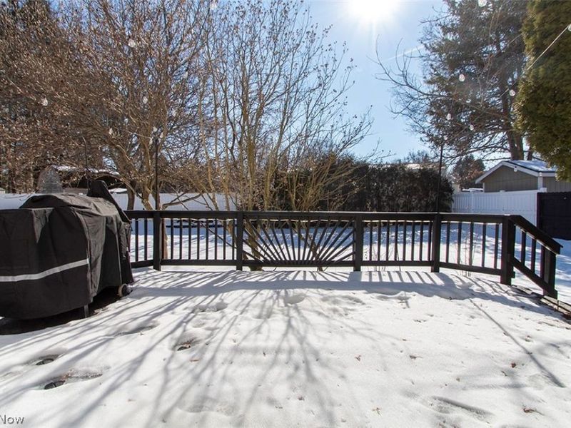 230 Simon Lane, Medina, OH 44256 Photo 32