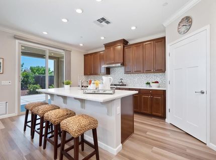 9173 Vervain Way, Sacramento, CA 95829 Photo