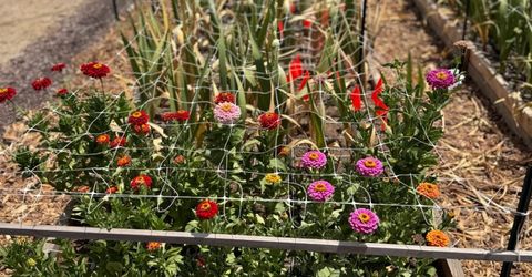 9173 Vervain Way, Sacramento, CA 95829 Photo