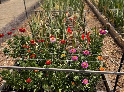 9173 Vervain Way, Sacramento, CA 95829 Photo