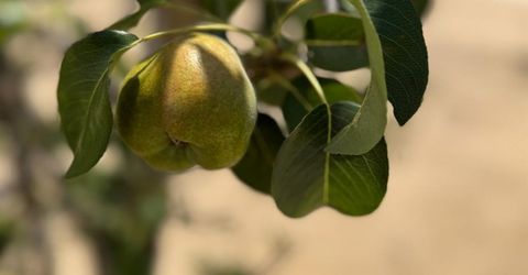 9173 Vervain Way, Sacramento, CA 95829 Photo