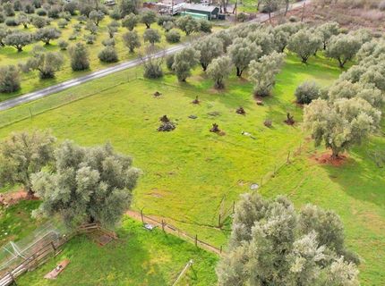 5423 Virginia Rd, Marysville, CA 95901 Photo