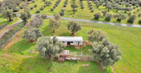 5423 Virginia Rd, Marysville, CA 95901 Photo