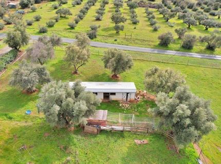 5423 Virginia Rd, Marysville, CA 95901 Photo