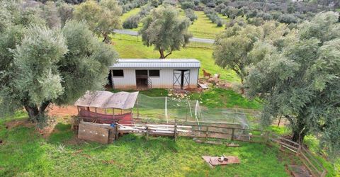 5423 Virginia Rd, Marysville, CA 95901 Photo