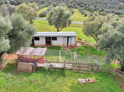 5423 Virginia Rd, Marysville, CA 95901 Photo