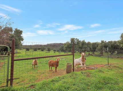 5423 Virginia Rd, Marysville, CA 95901 Photo