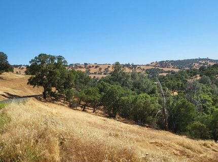 Last Chance Aly, Amador City, CA 95601 Photo