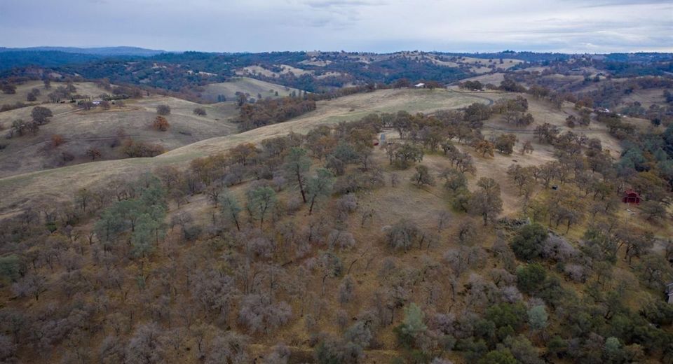 Last Chance Aly, Amador City, CA 95601 Photo