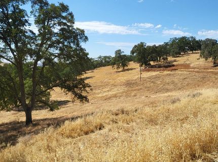 Last Chance Aly, Amador City, CA 95601 Photo