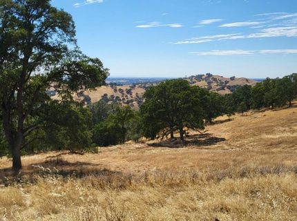 Last Chance Aly, Amador City, CA 95601 Photo