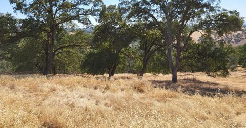 Last Chance Aly, Amador City, CA 95601 Photo