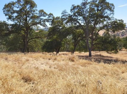 Last Chance Aly, Amador City, CA 95601 Photo