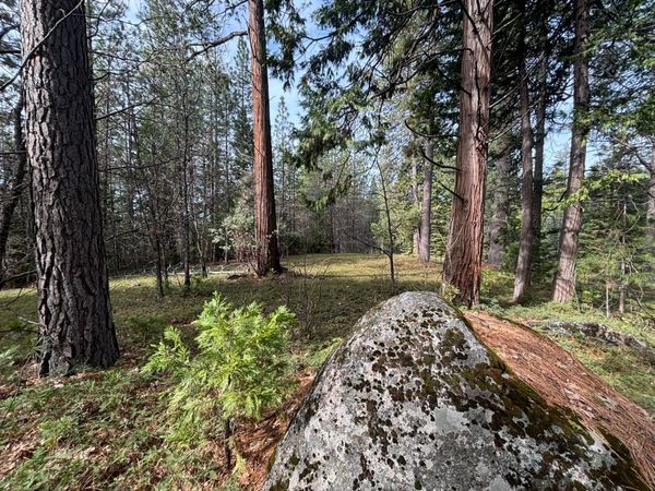 245 Heron Ct, Avery, CA 95224