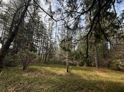 245 Heron Ct, Avery, CA 95224 Photo