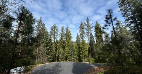 245 Heron Ct, Avery, CA 95224 Photo