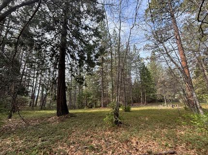 245 Heron Ct, Avery, CA 95224 Photo