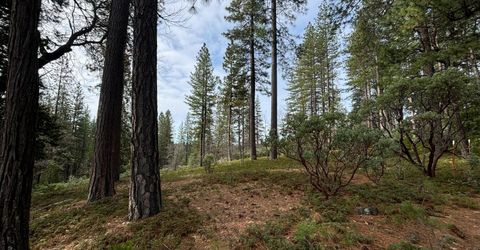 245 Heron Ct, Avery, CA 95224 Photo