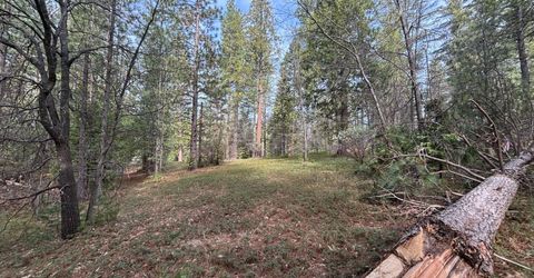 245 Heron Ct, Avery, CA 95224 Photo