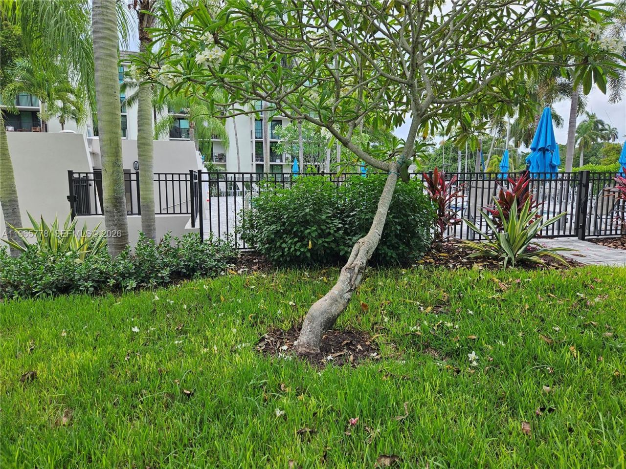 1101 River Reach Dr, Unit 418, Fort Lauderdale, FL 33315 Photo