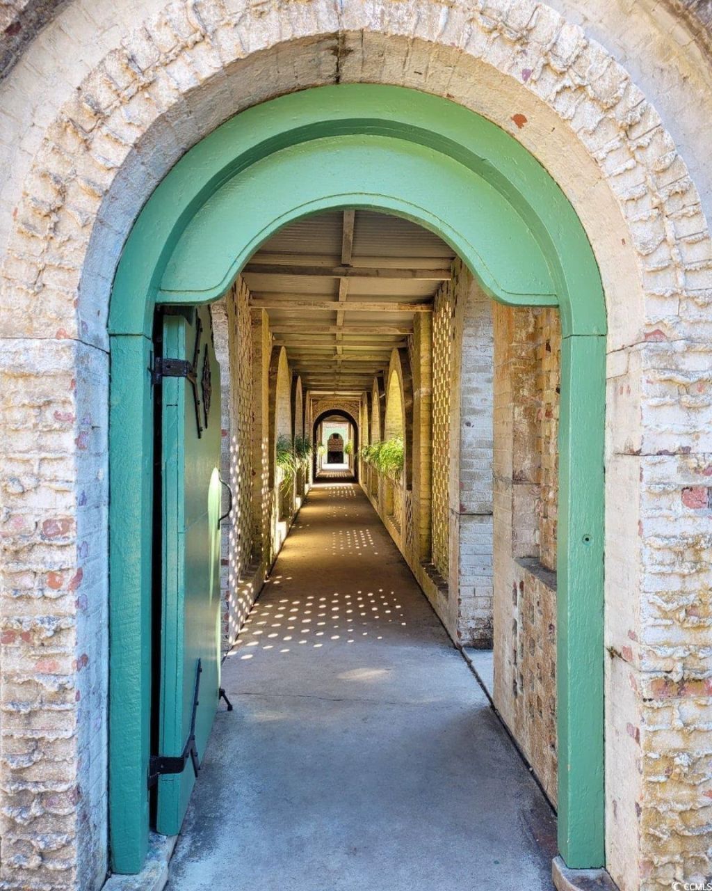 956 Williston Loop Photo 45