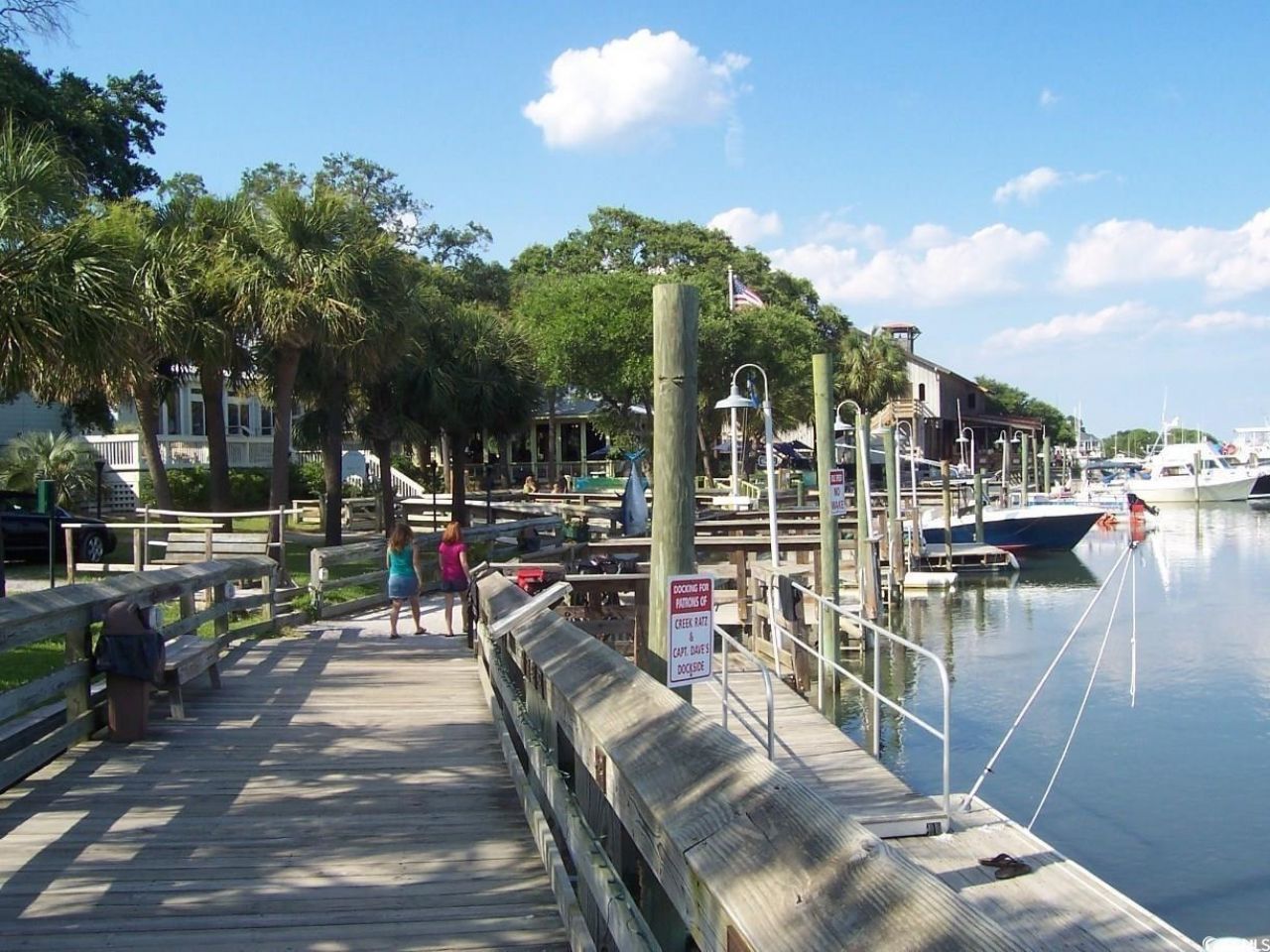 956 Williston Loop Photo 47