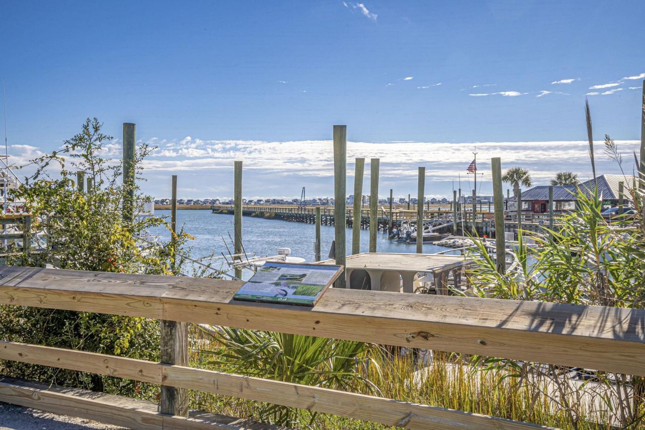 956 Williston Loop Photo 52