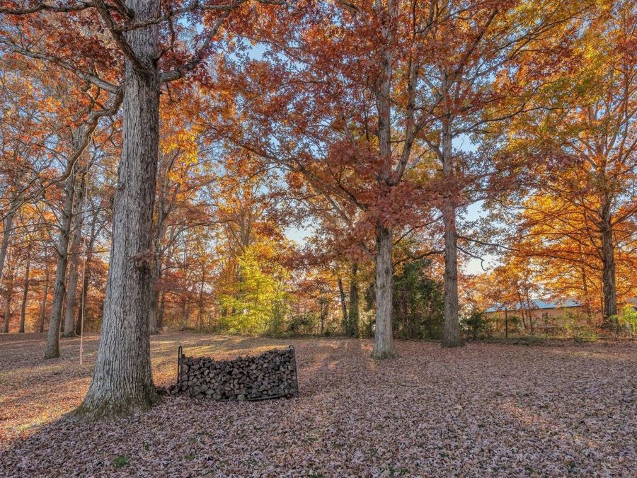 Property Image 50
