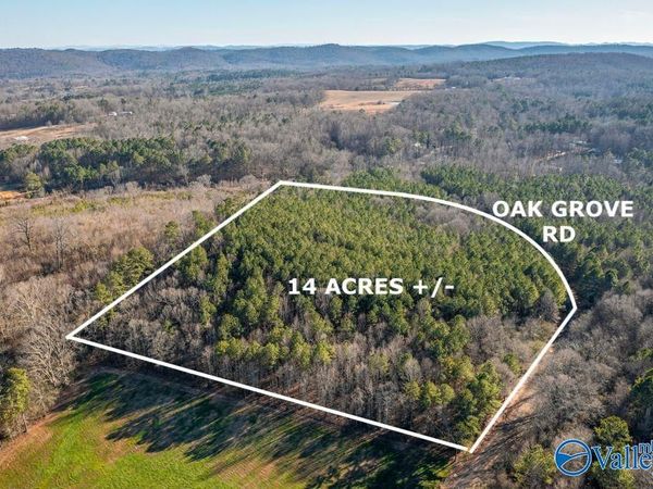 14 Acres +/- Oak Grove Road, Attalla, AL 35954