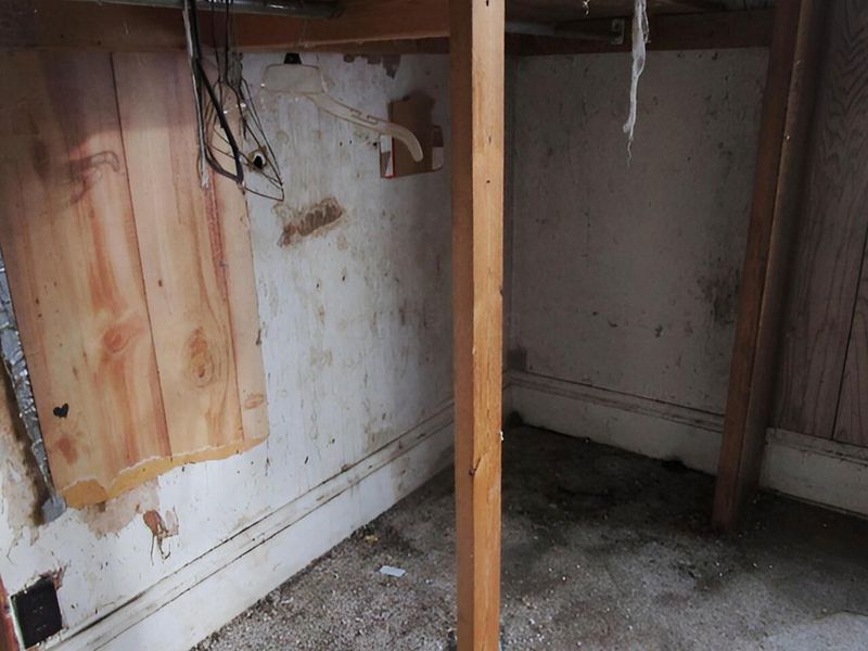 804 Hocking Road, Belpre, OH 45714 Photo 18