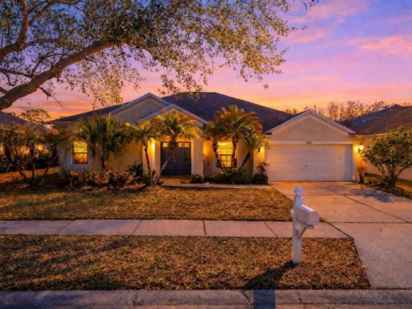 26000 RISEN STAR DRIVE, WESLEY CHAPEL, FL 33544