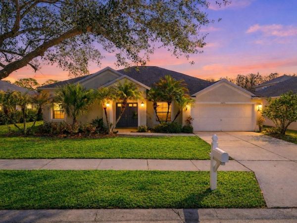 26000 RISEN STAR DRIVE, WESLEY CHAPEL, FL 33544